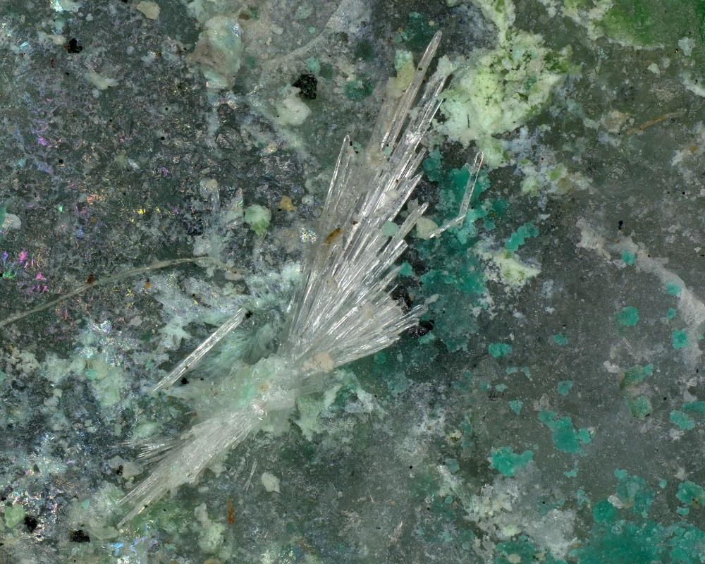 Mallestigite